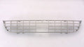Grille Lower Paint To Match For Eddie Bauer (Use With Engine Heater) For Ford - FO1036101