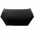 Hood For Ford - FO1230188