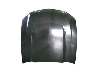 Hood Aluminum For Ford - FO1230290