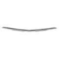 Bumper Molding Front Lower Chrome For Chevrolet - GM1044146