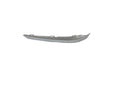 Bumper Molding [Below Head Lamp] Front Driver Side Bright Chrome For Chevrolet - GM1046133
