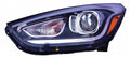 Head Lamp Driver Side Halogen High Qualityreturn Restricted - Final Sale - No Warranty Coverage For Hyundai - hy2502185