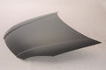 Hood Capa For Kia - KI1230119C