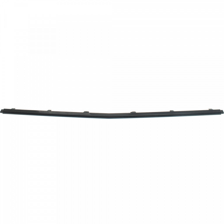 Bumper Molding Front Center Primed Black With Amg Night Pkg For Mercedes - MB1044131