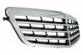 Grille Chrome With 7 Mldg/Frontame For Mercedes - MB1200155