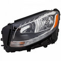Head Lamp Driver Side Halogen Without Logo High Quality For Mercedes - MB2502244
