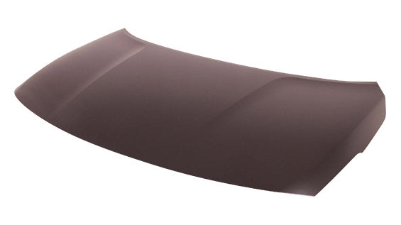 Hood Capa For Nissan - NI1230199C