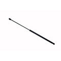 Hood Strut Driver Side For Toyota - TO1237116